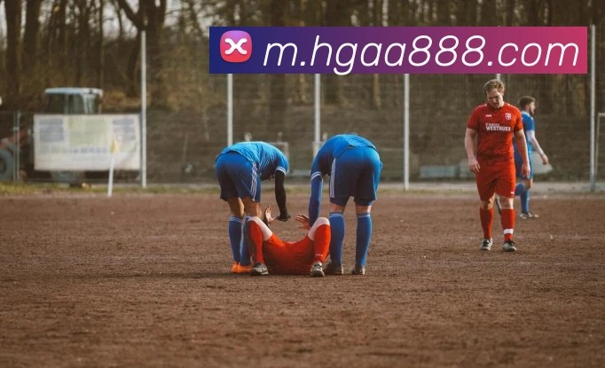 皇冠娱乐官网服务体系